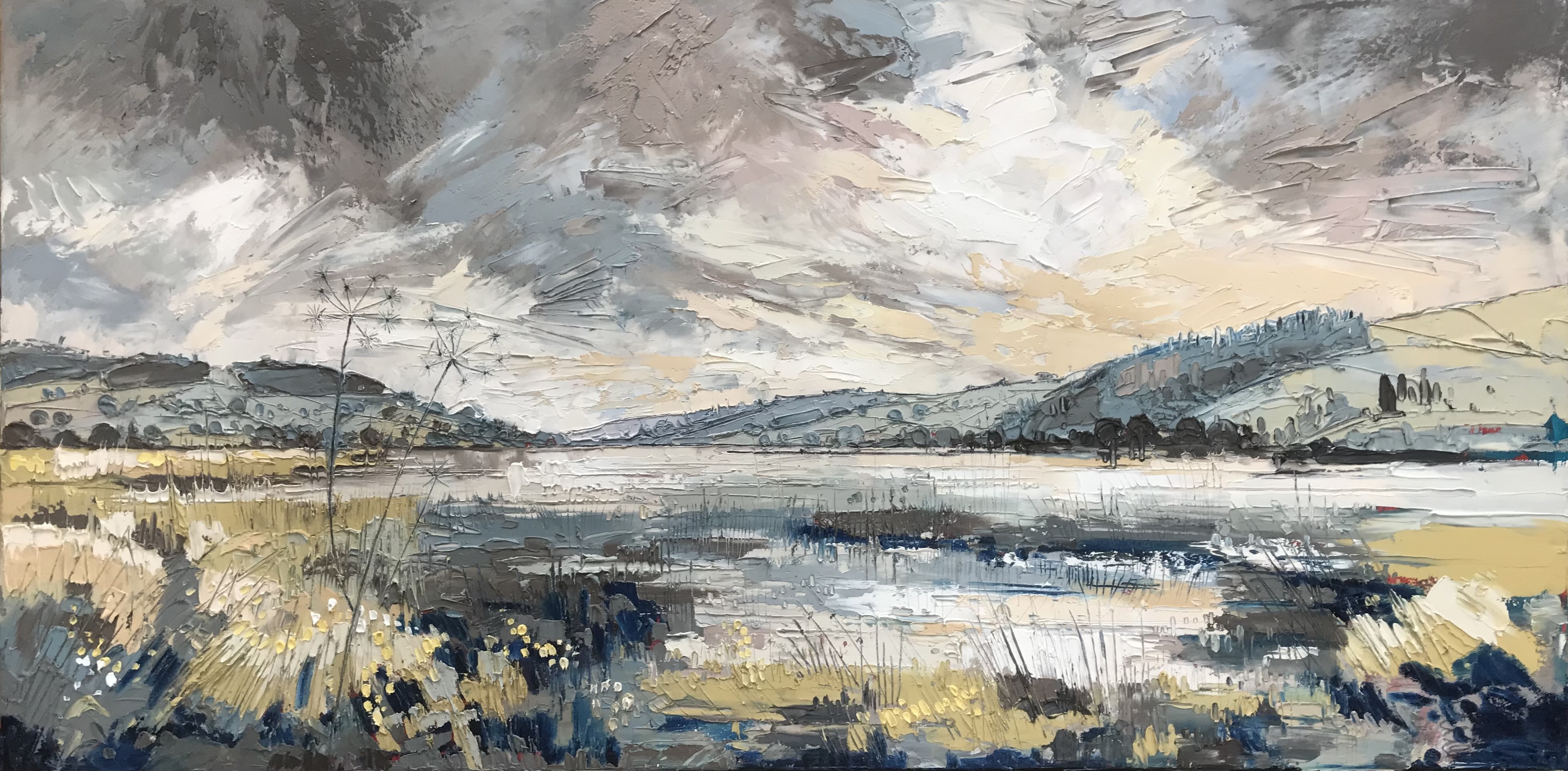 Winter Gouthwaite, Cow Parsley